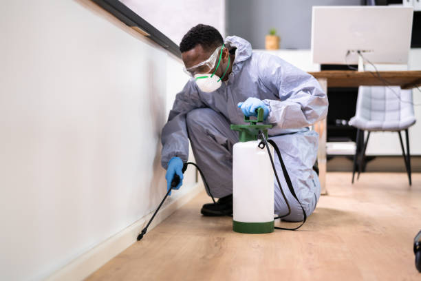 Best Residential Pest Control  in Maeser, UT